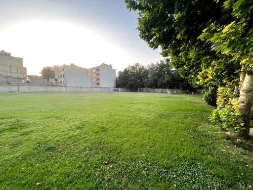 عکس مدرسه فوتبال ممتاز فردوسی پور 