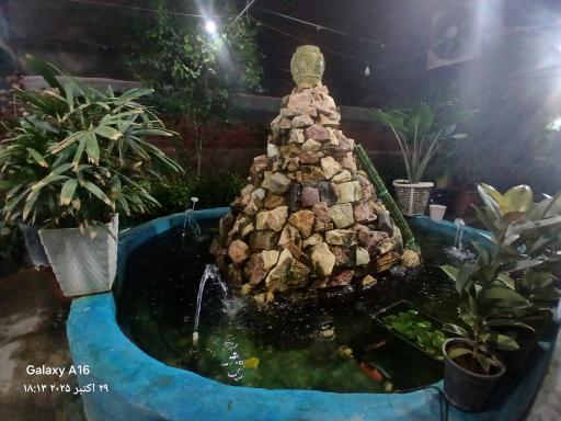عکس گلخانه آپاتیه 