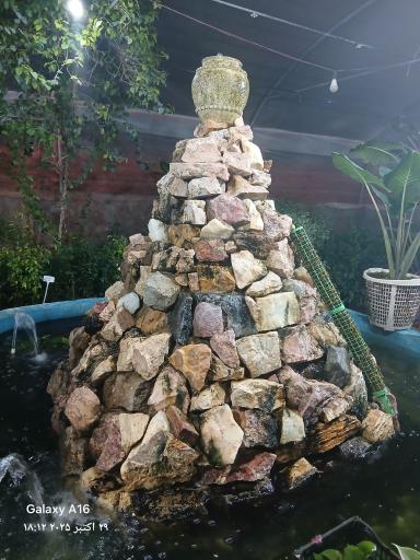 عکس گلخانه آپاتیه 