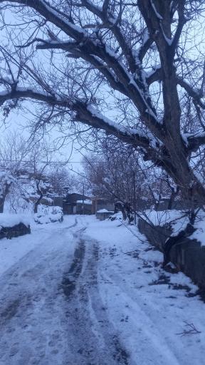 عکس گراخک