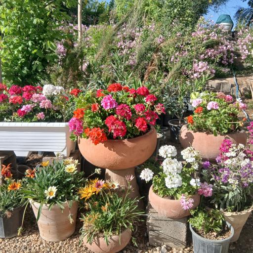 عکس گلخانه آپاتیه 