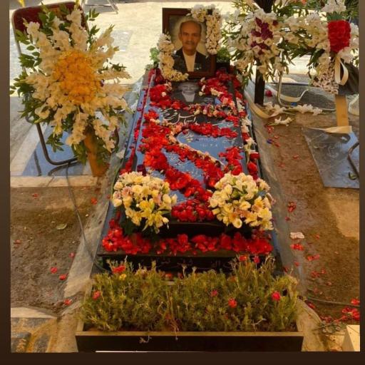 عکس قطعه شماره 51 (قطعه جانبازان) بهشت زهرا (س)