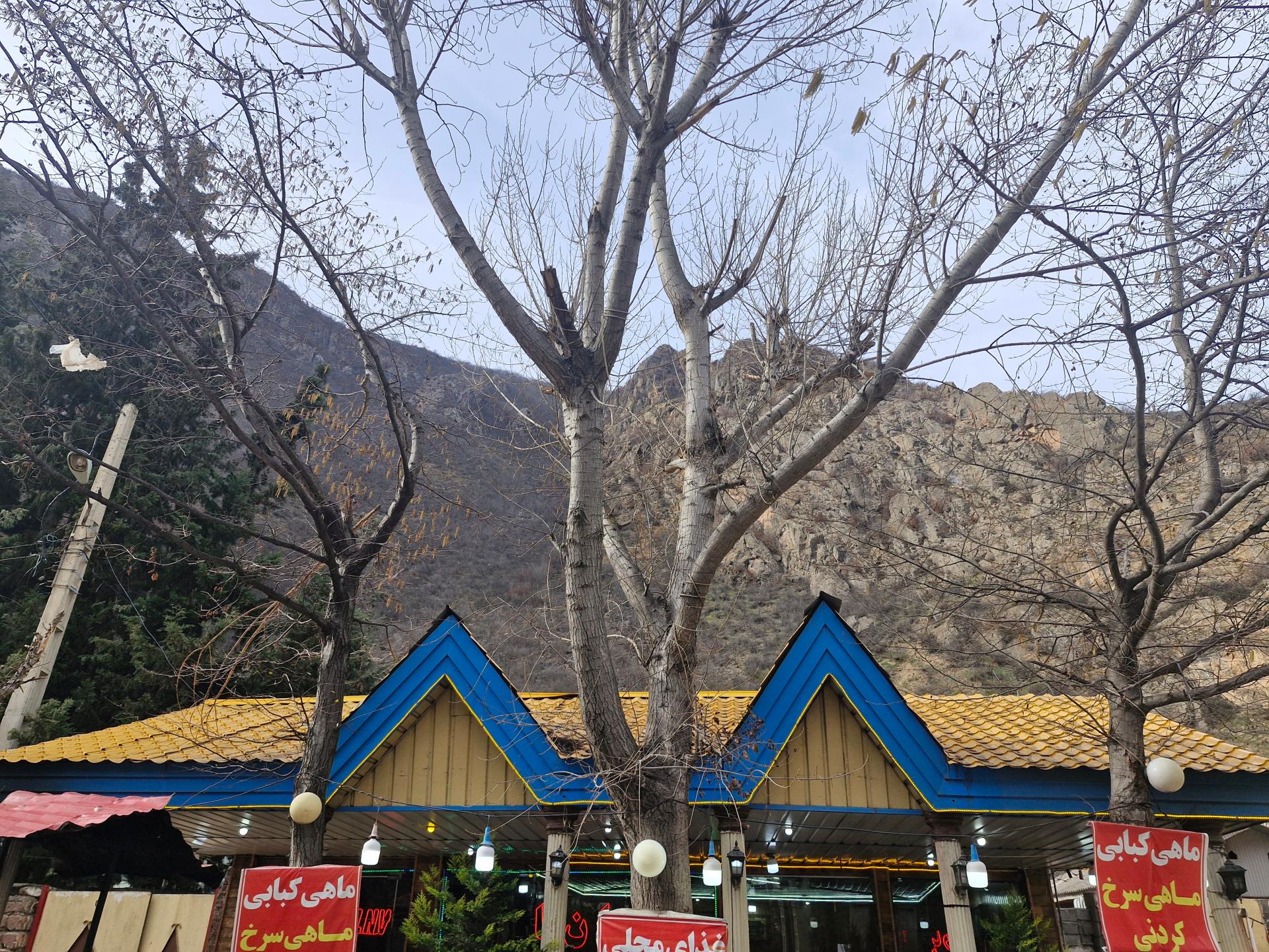 عکس رستوران شاندیز