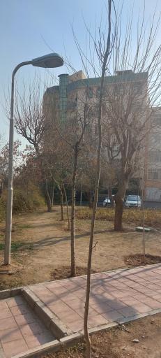 عکس بوستان مدائن