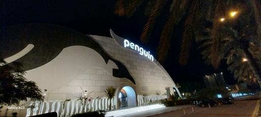 پارک برفی پنگوئن