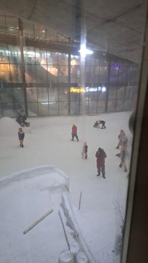 پارک برفی پنگوئن