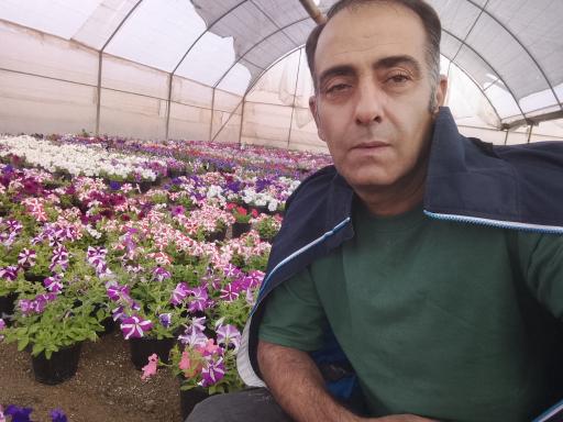 عکس باغ گل حاج امیر صفری و پسران
