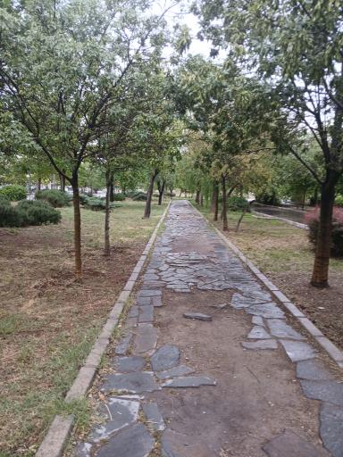 عکس بوستان شهید باکری