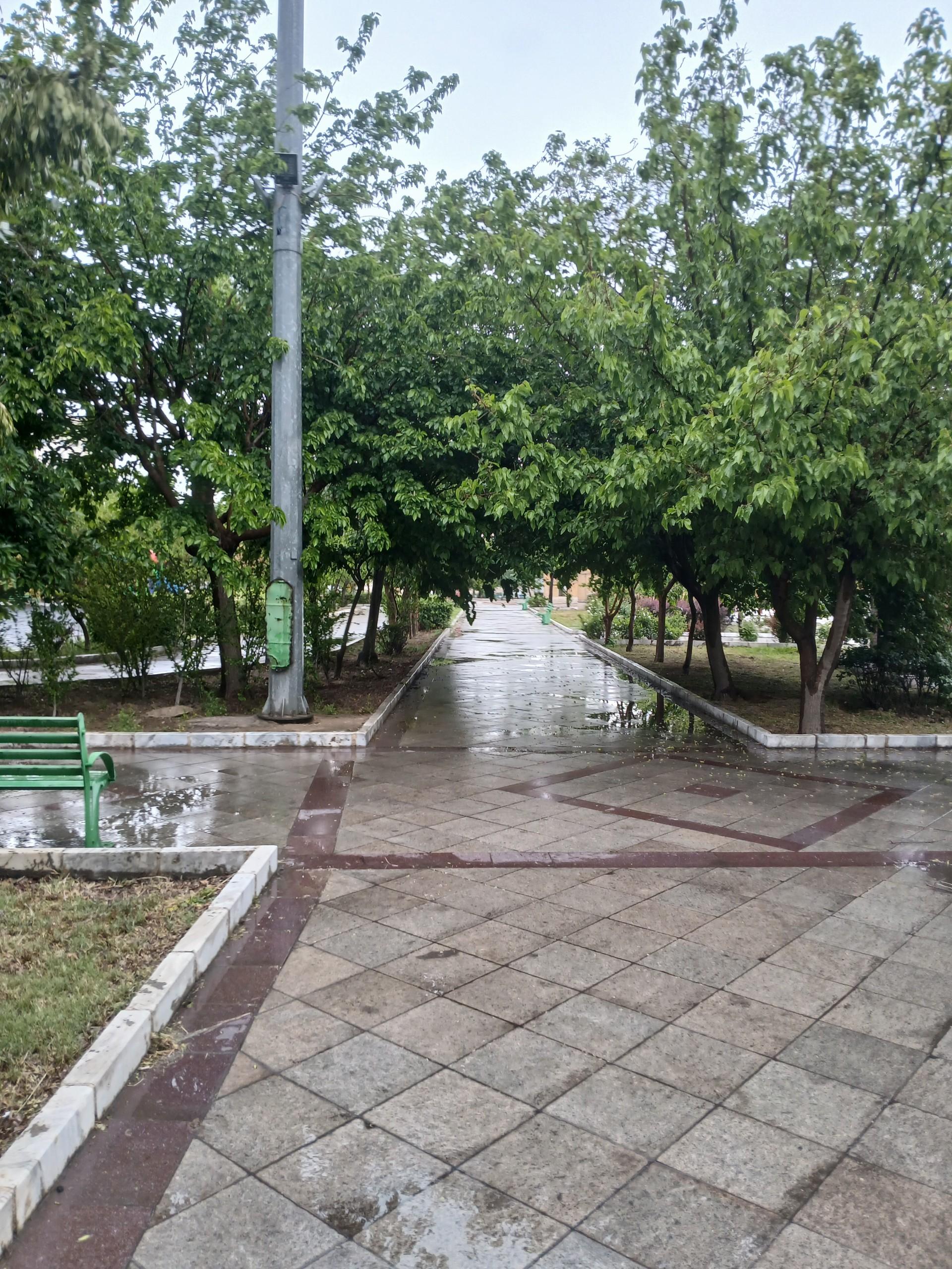 عکس بوستان شهید باکری