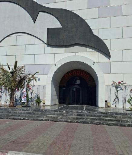 عکس پارک برفی پنگوئن