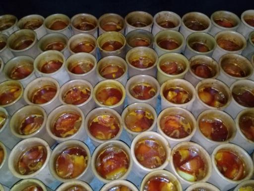 عکس دیزی سرای شیخ صفی