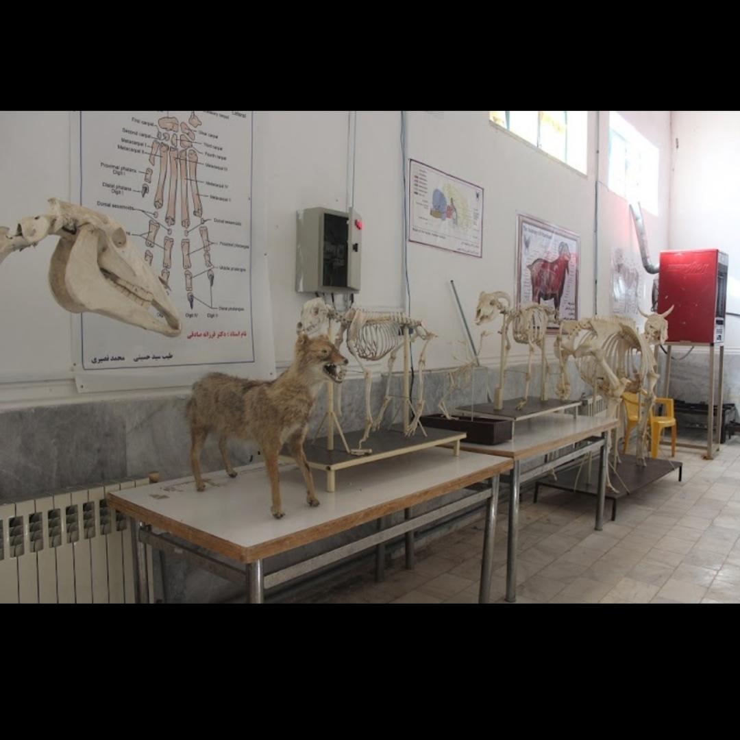 عکس دانشکده دامپزشکی واحد بافت