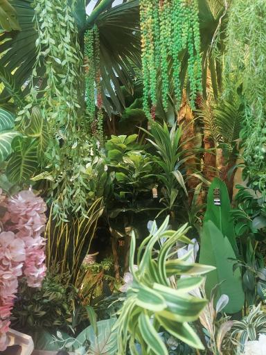 عکس هایپرگیاه الیت 