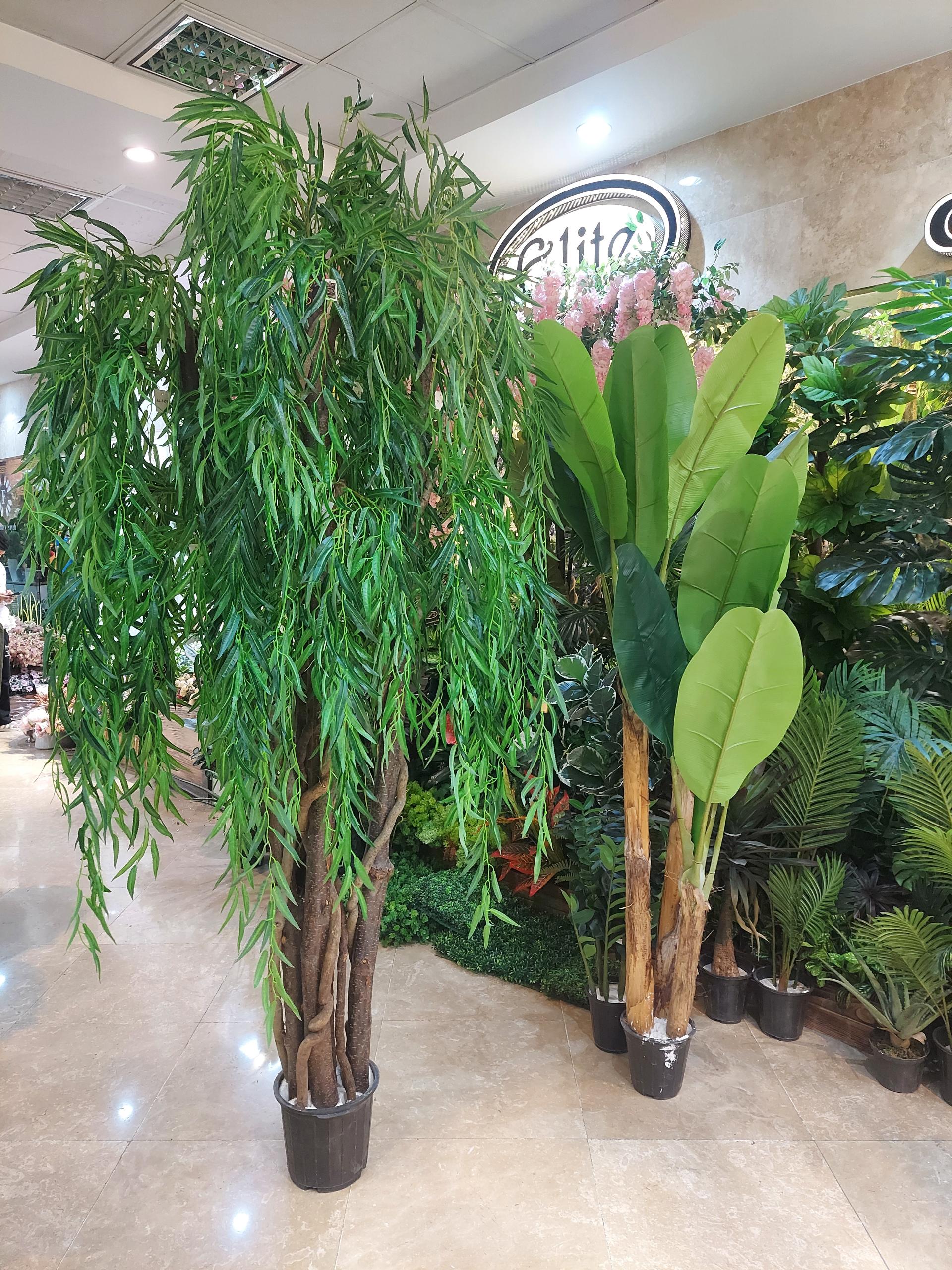 عکس هایپرگیاه الیت 