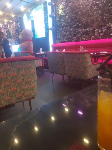 عکس رستوران فلامینگو