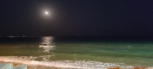 عکس ساحل تفریحی زیتون