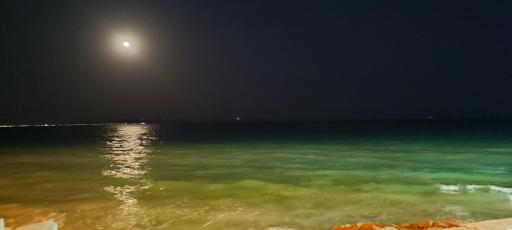 عکس ساحل تفریحی زیتون