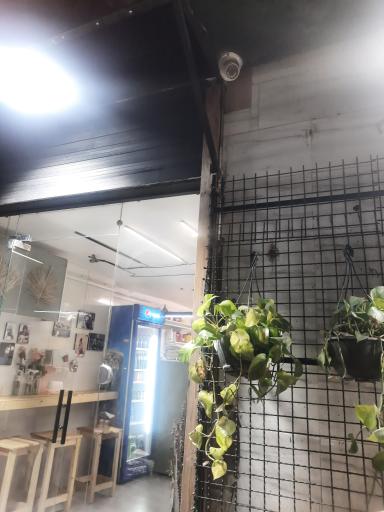 عکس ساندویچ کُنچیل