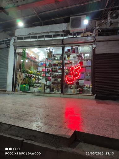 عکس گل سرای