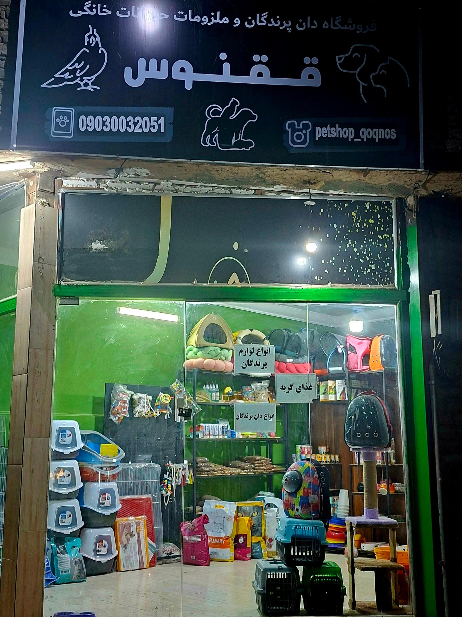 عکس پت شاپ ققنوس