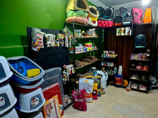 عکس پت شاپ ققنوس