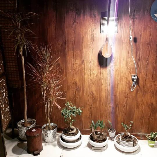 عکس کافه سالیز