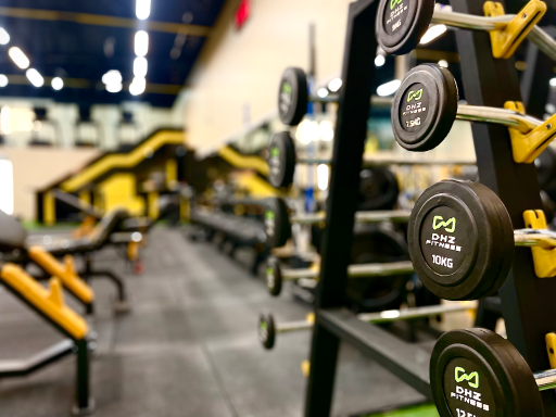 عکس باشگاه بدنسازی مهیمن