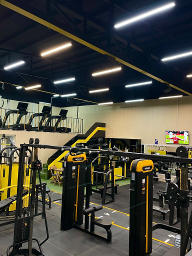 عکس باشگاه بدنسازی مهیمن