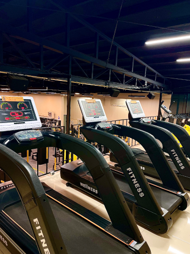 عکس باشگاه بدنسازی مهیمن