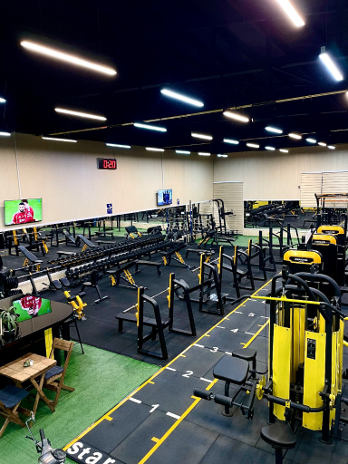 عکس باشگاه بدنسازی مهیمن