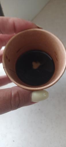 عکس کافه ژیار