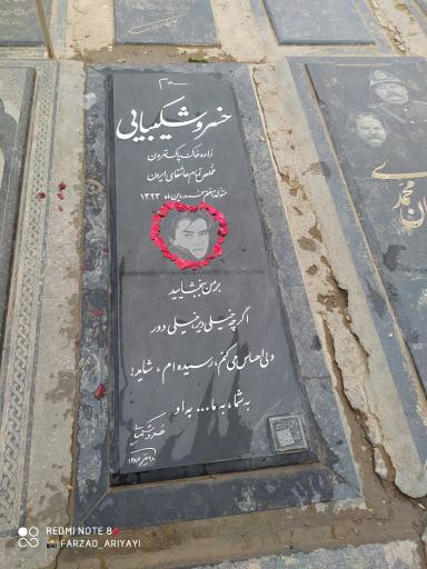 عکس قطعه 88 هنرمندان