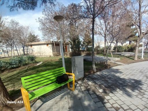 سرویس بهداشتی عمومی