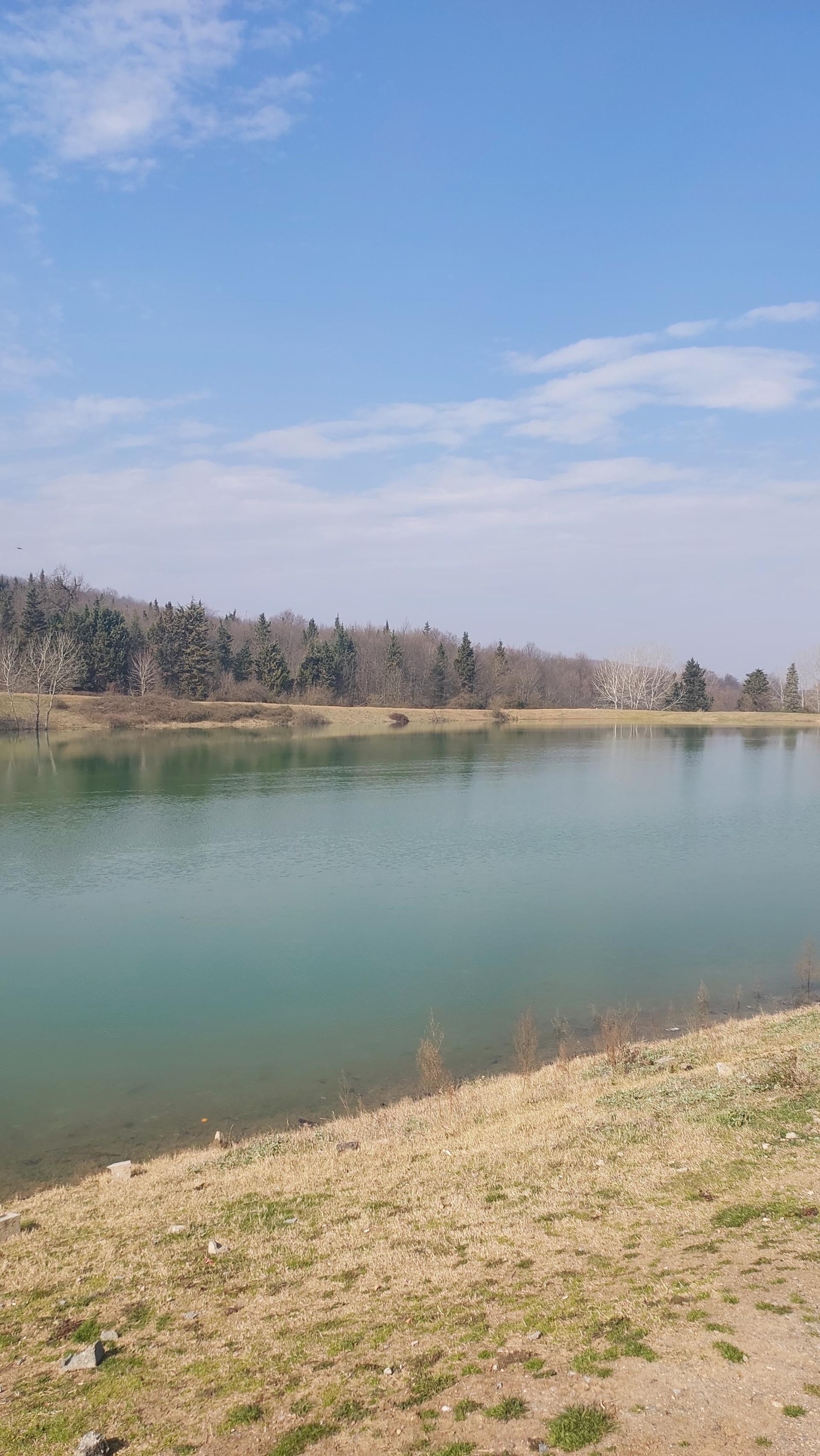 عکس جنگل علی اباد چمستان