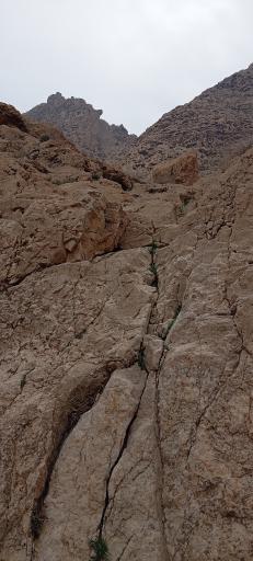 کوه دو برادران