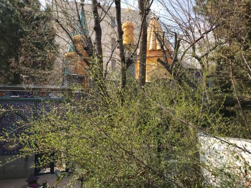 عکس امامزاده سید محمد نوربخش