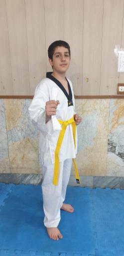 عکس آکادمی تکواندو مجیدیه امیر ابوحمزه