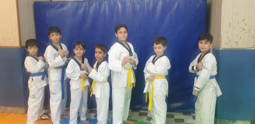 عکس آکادمی تکواندو مجیدیه امیر ابوحمزه