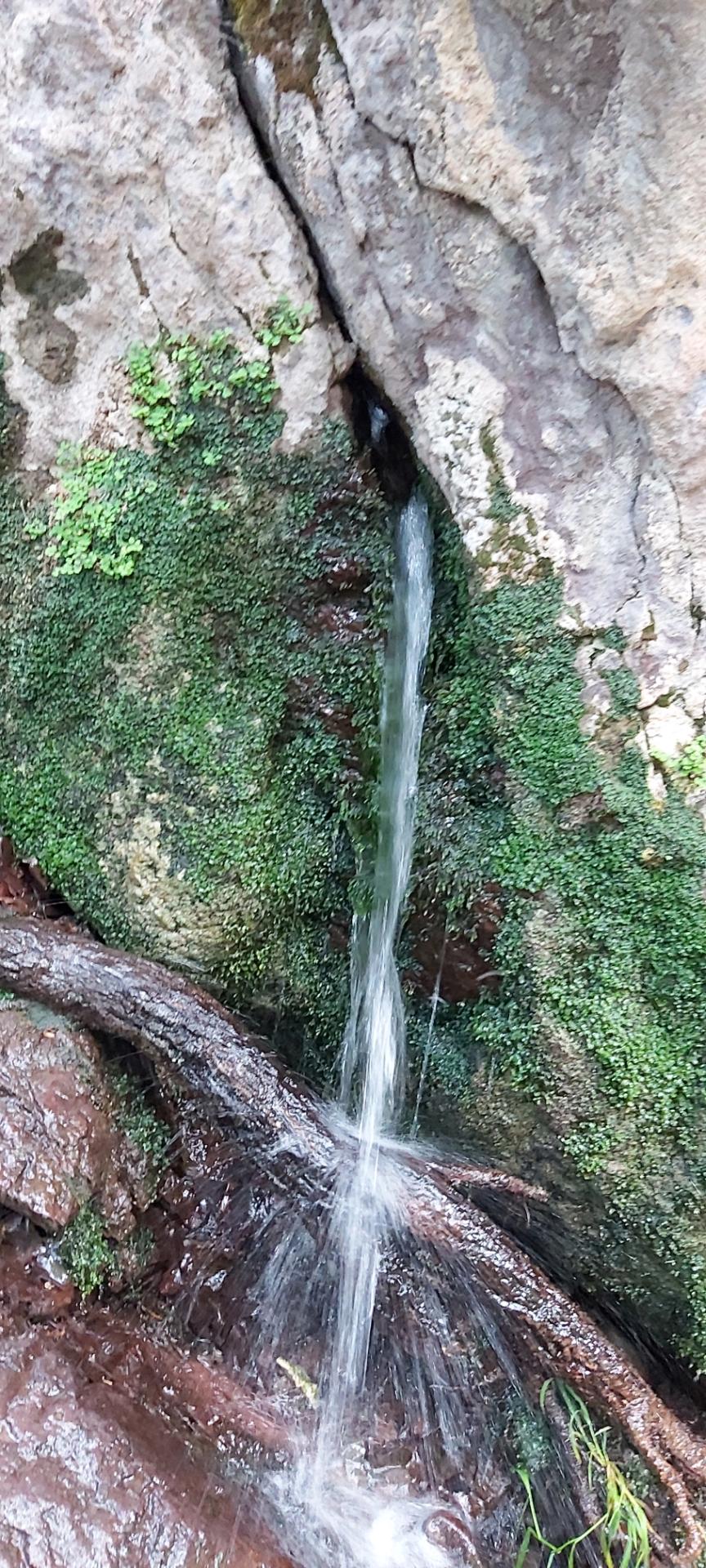 عکس دره ارزنه