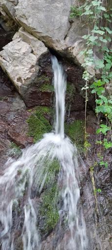 عکس دره ارزنه