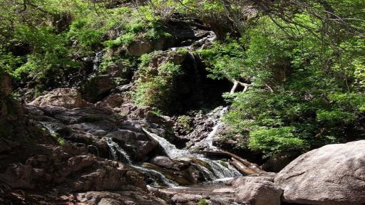 عکس دره ارزنه