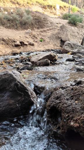 عکس دره ارزنه