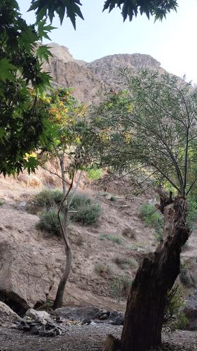 عکس دره ارزنه