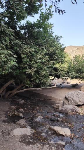 عکس دره ارزنه