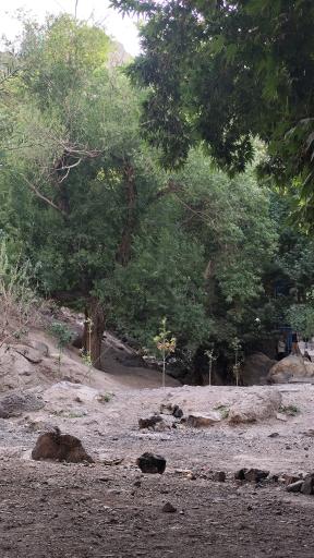 عکس دره ارزنه