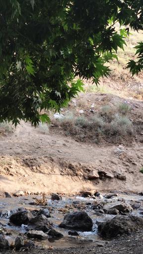 عکس دره ارزنه