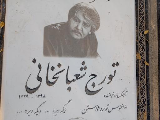 عکس قطعه 88 هنرمندان