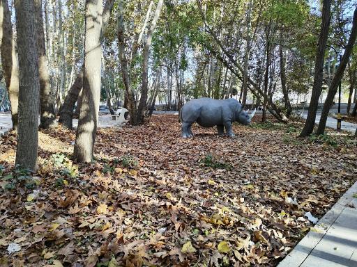 عکس باغ فدک بروجرد