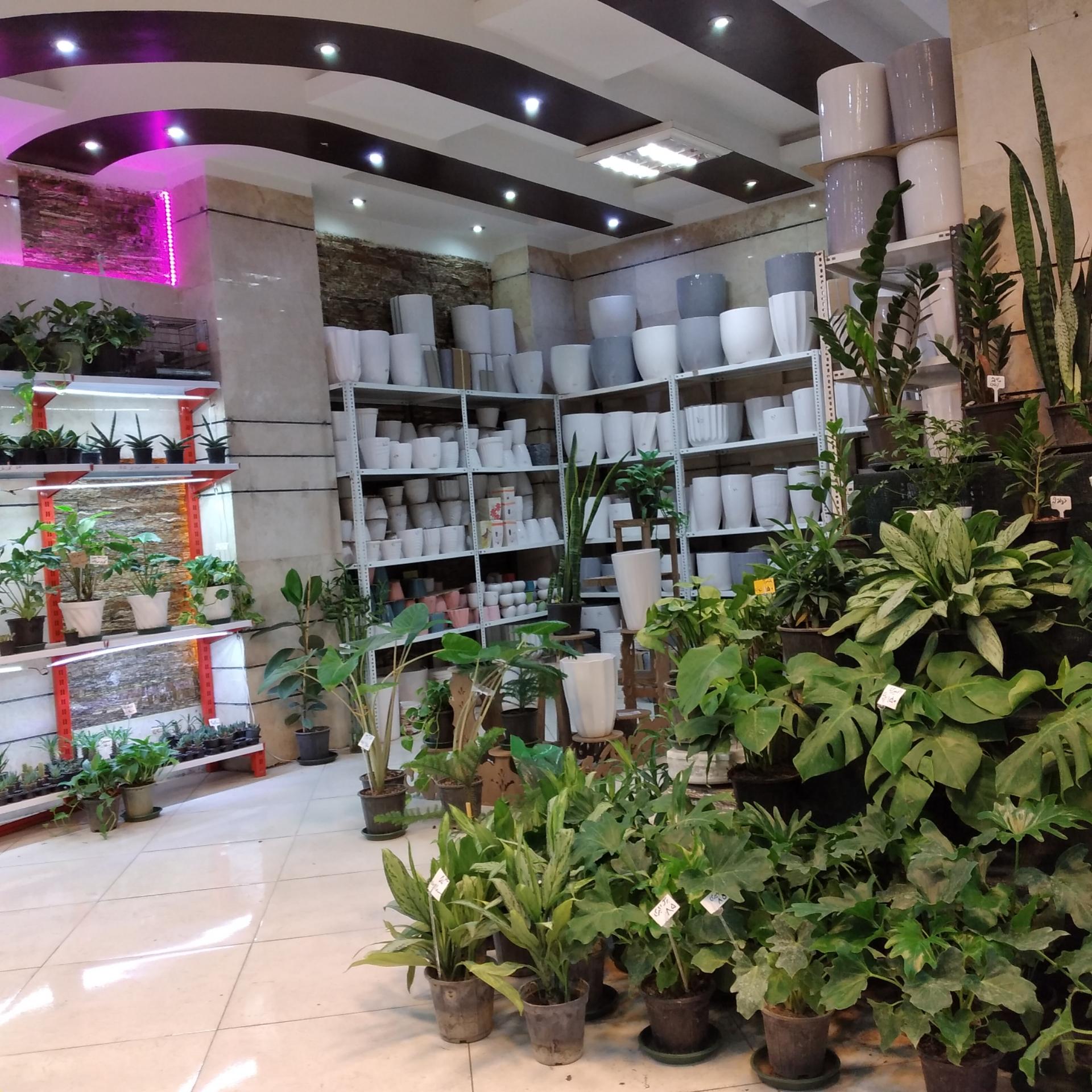 عکس گل فروشی خانه گل