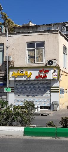 عکس طباخی بره سفید 